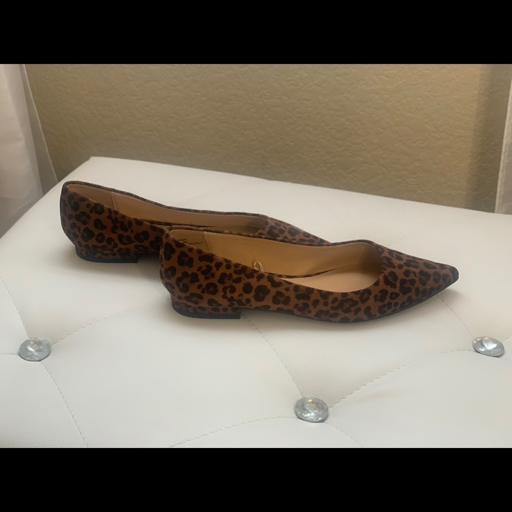 Leopard express flats